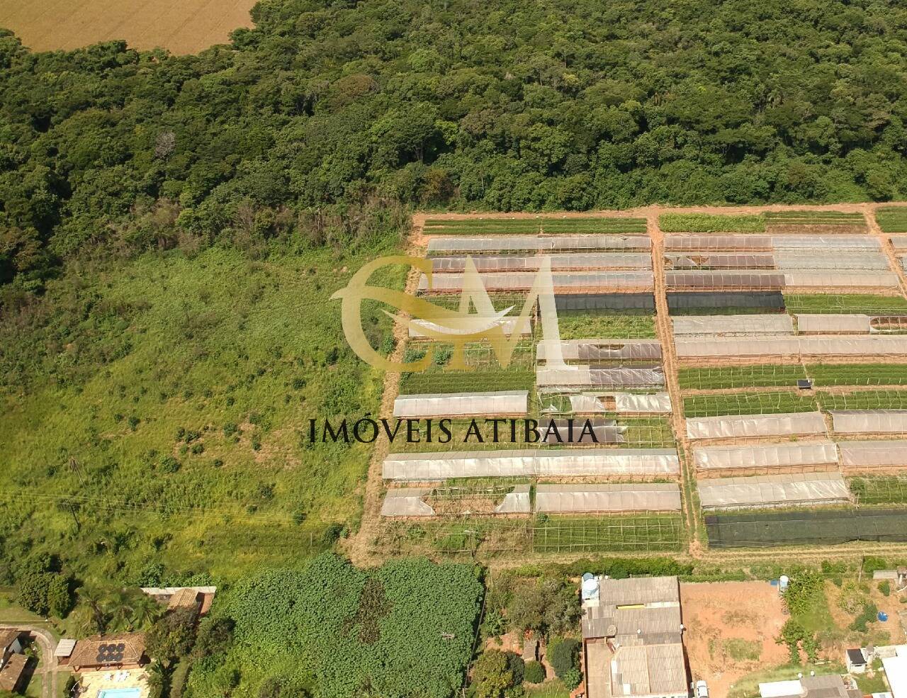 Fazenda à venda com 16 quartos, 2000m² - Foto 35