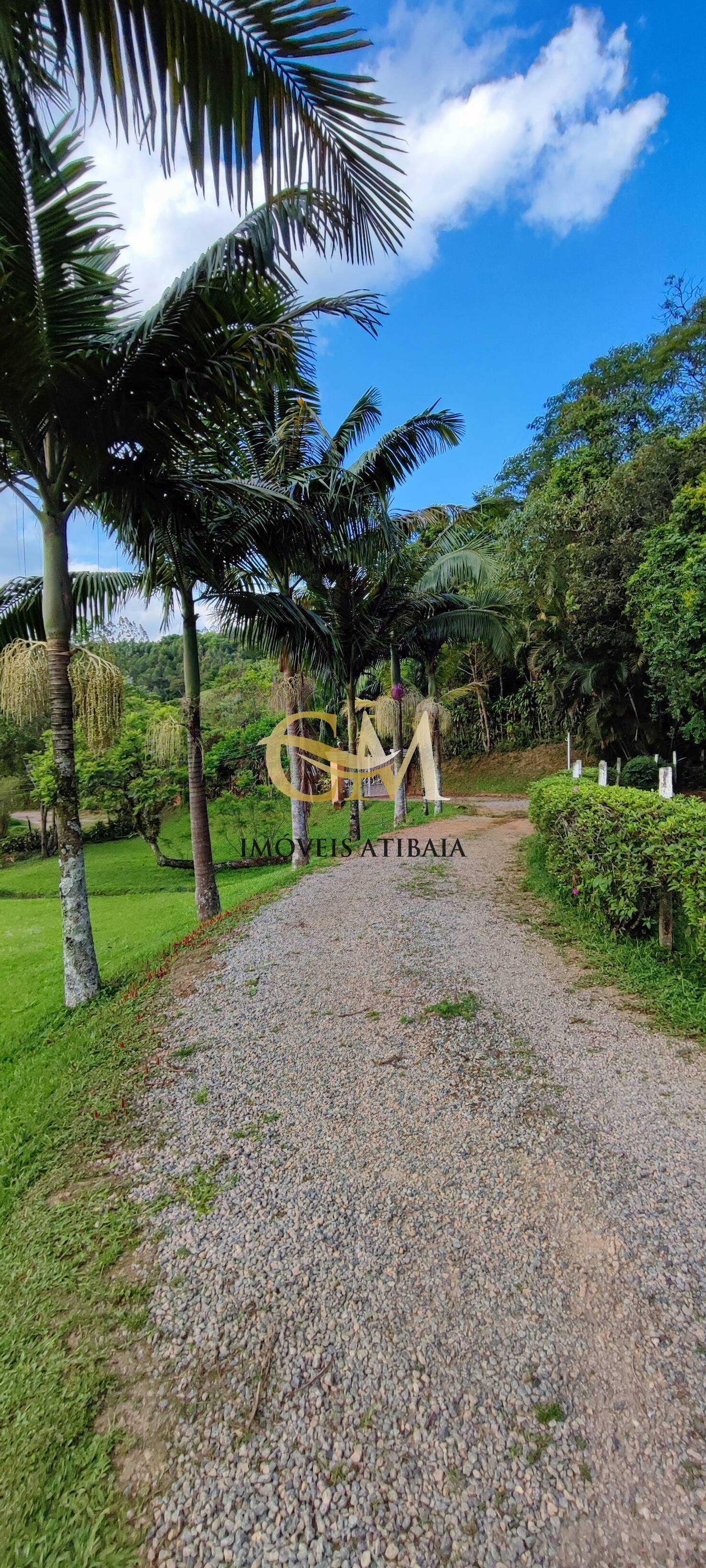 Fazenda à venda com 4 quartos, 450m² - Foto 6