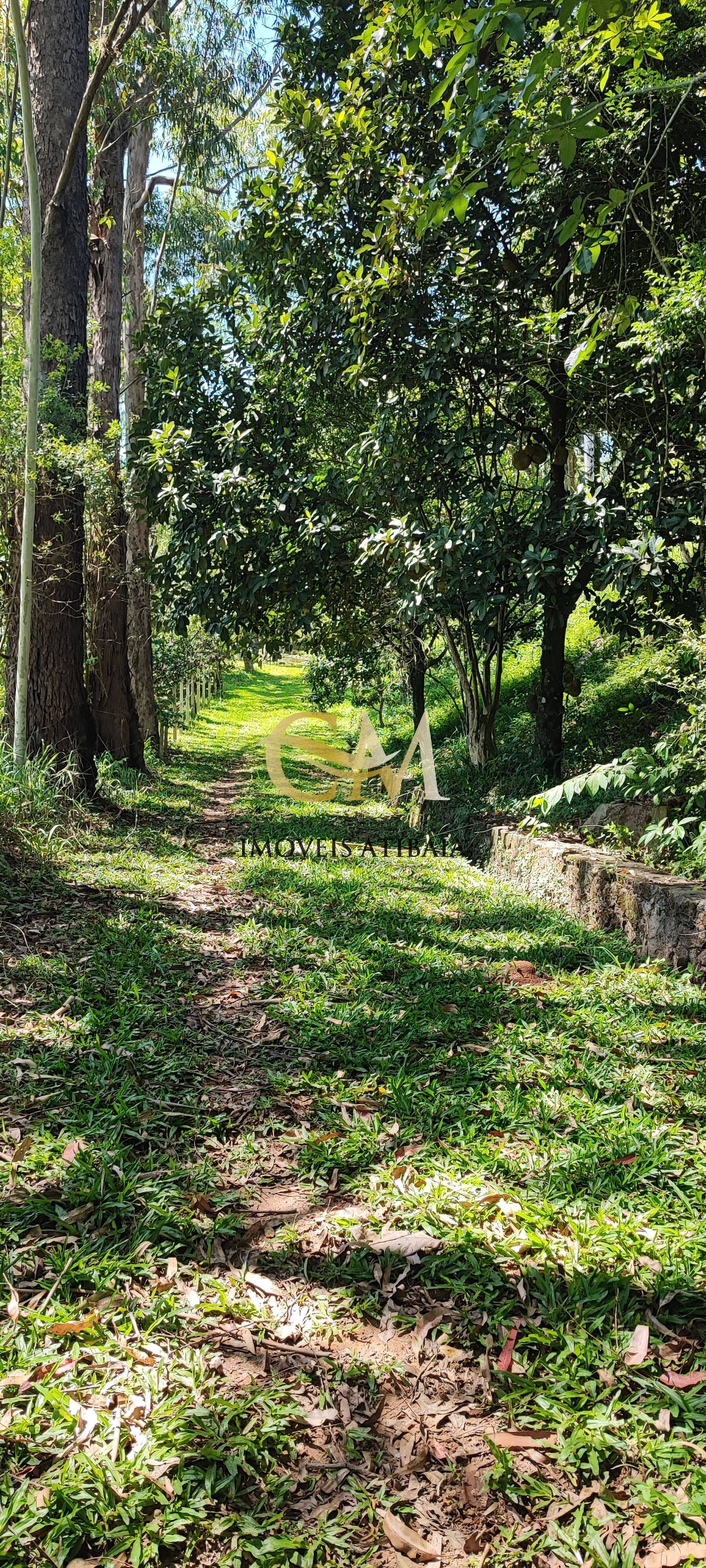 Fazenda à venda com 7 quartos, 1534m² - Foto 10