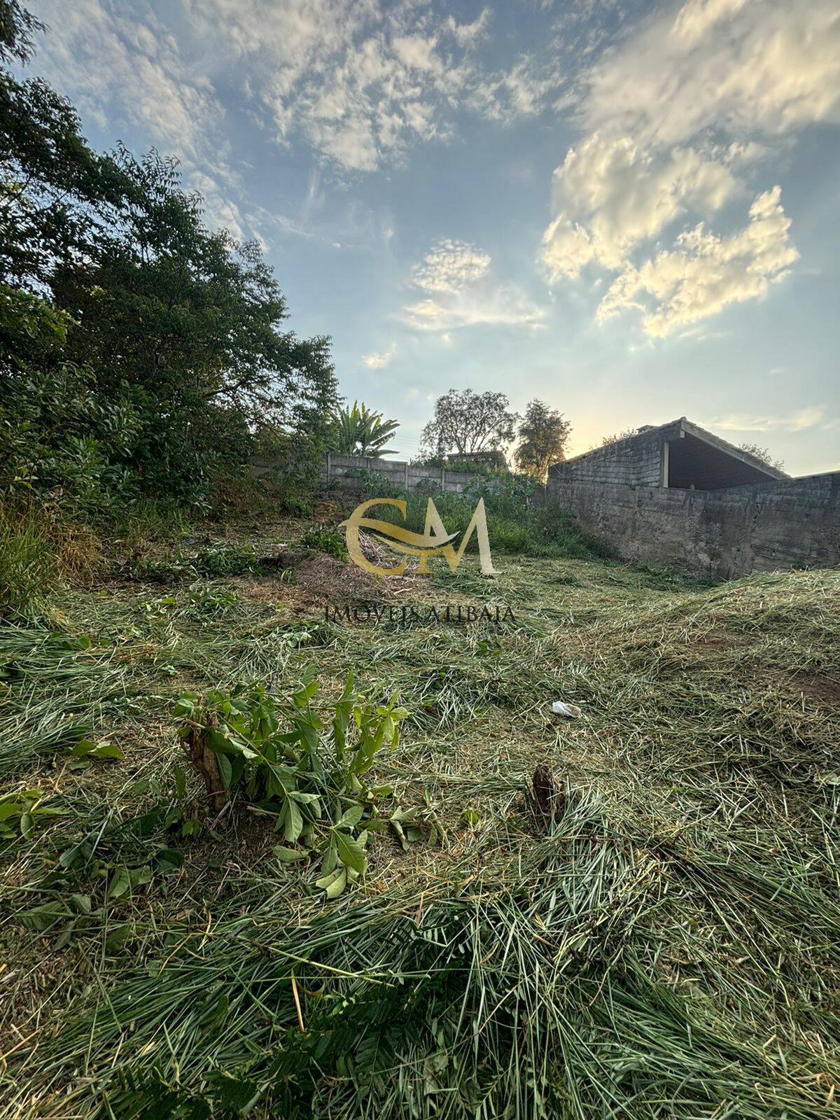 Terreno à venda, 290m² - Foto 5