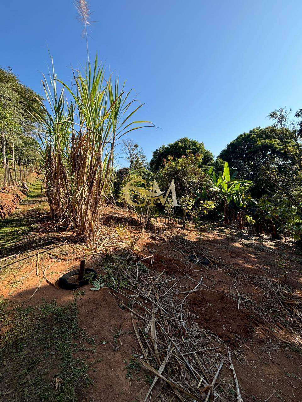 Casa à venda com 2 quartos, 177m² - Foto 52