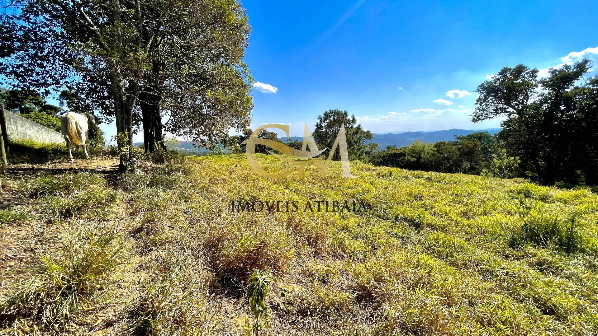 Terreno à venda, 2000m² - Foto 4