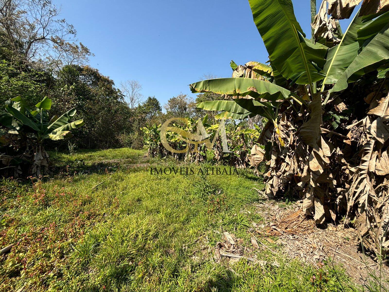 Terreno à venda, 3167m² - Foto 24