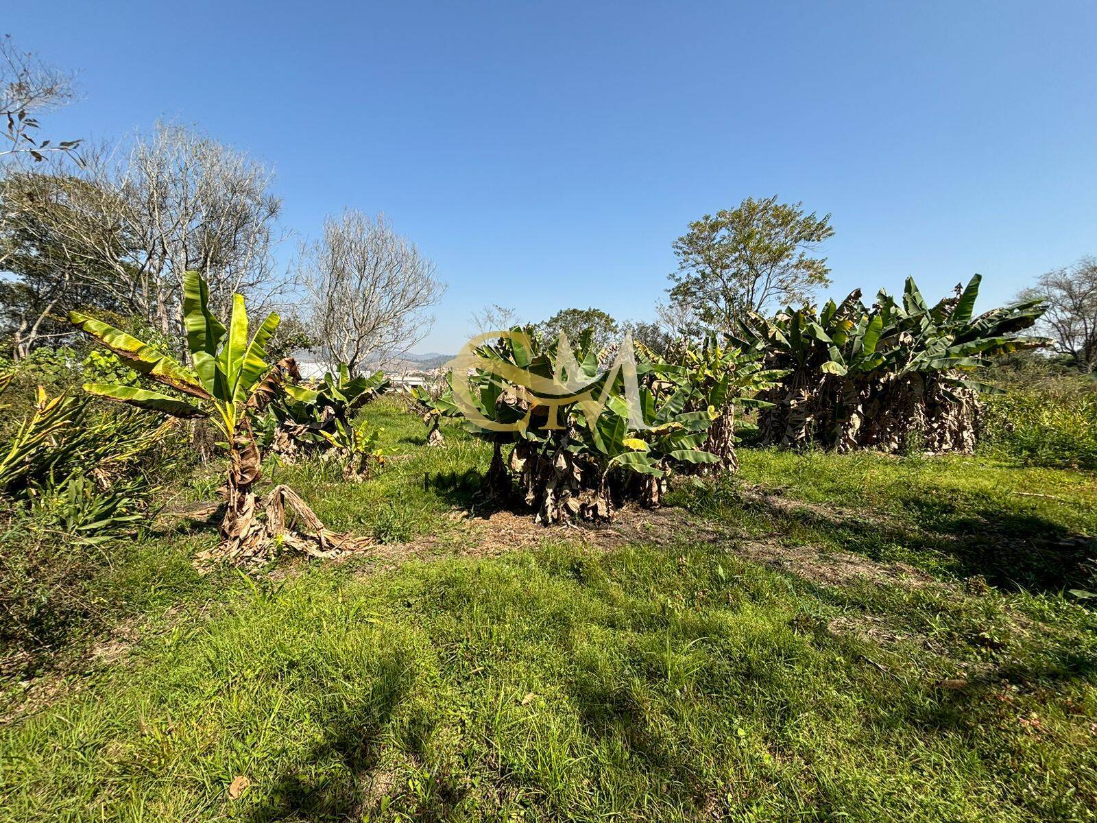 Terreno à venda, 3167m² - Foto 27