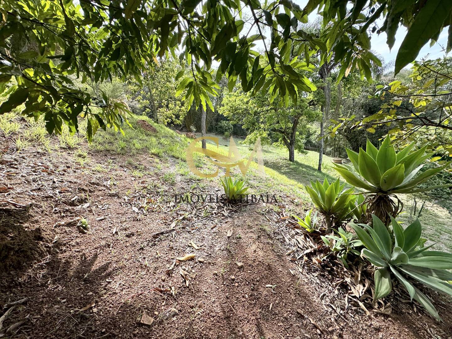 Casa à venda com 6 quartos, 400m² - Foto 70