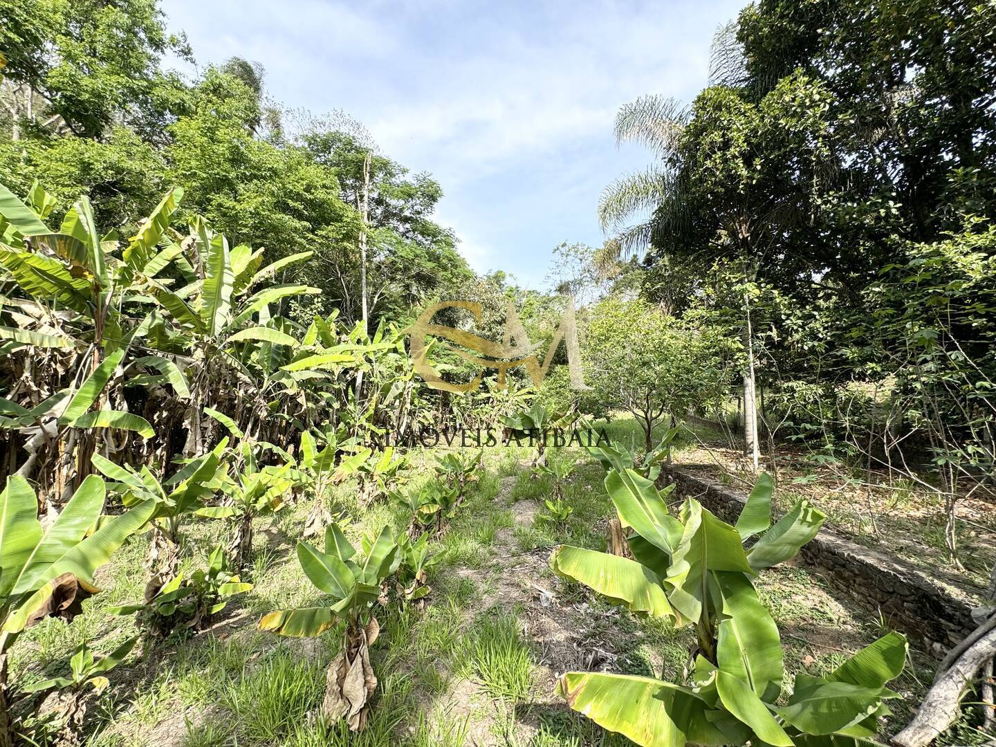 Casa à venda com 6 quartos, 400m² - Foto 71