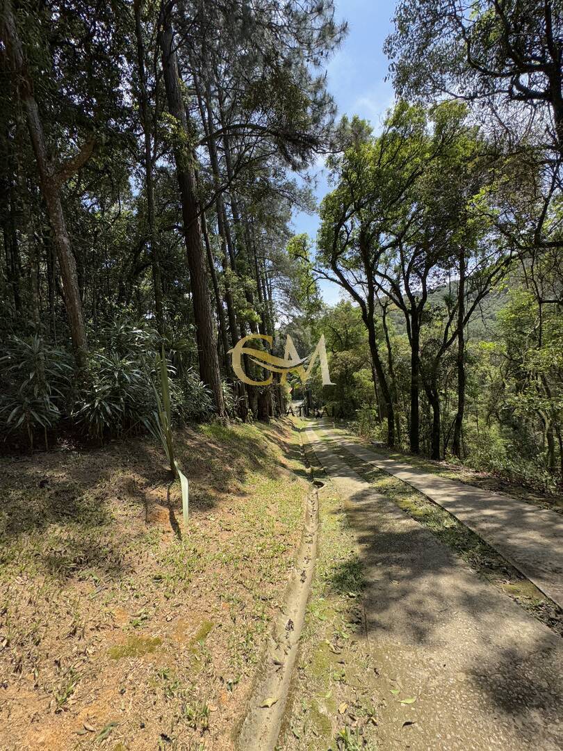 Fazenda à venda com 7 quartos, 1000m² - Foto 107