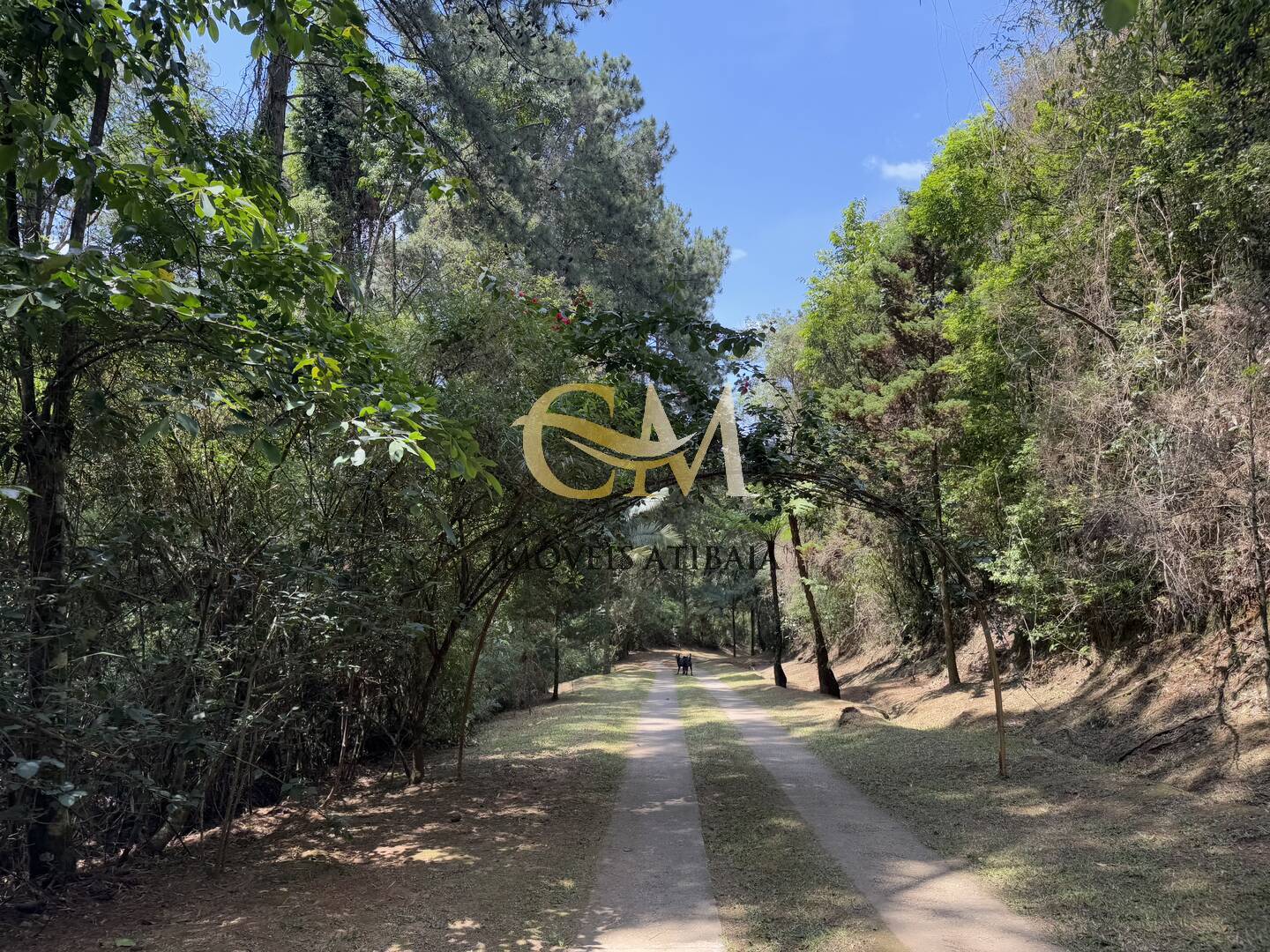 Fazenda à venda com 7 quartos, 1000m² - Foto 104