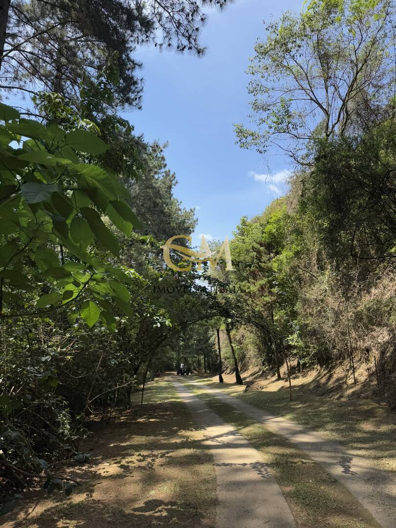 Fazenda à venda com 7 quartos, 1000m² - Foto 105