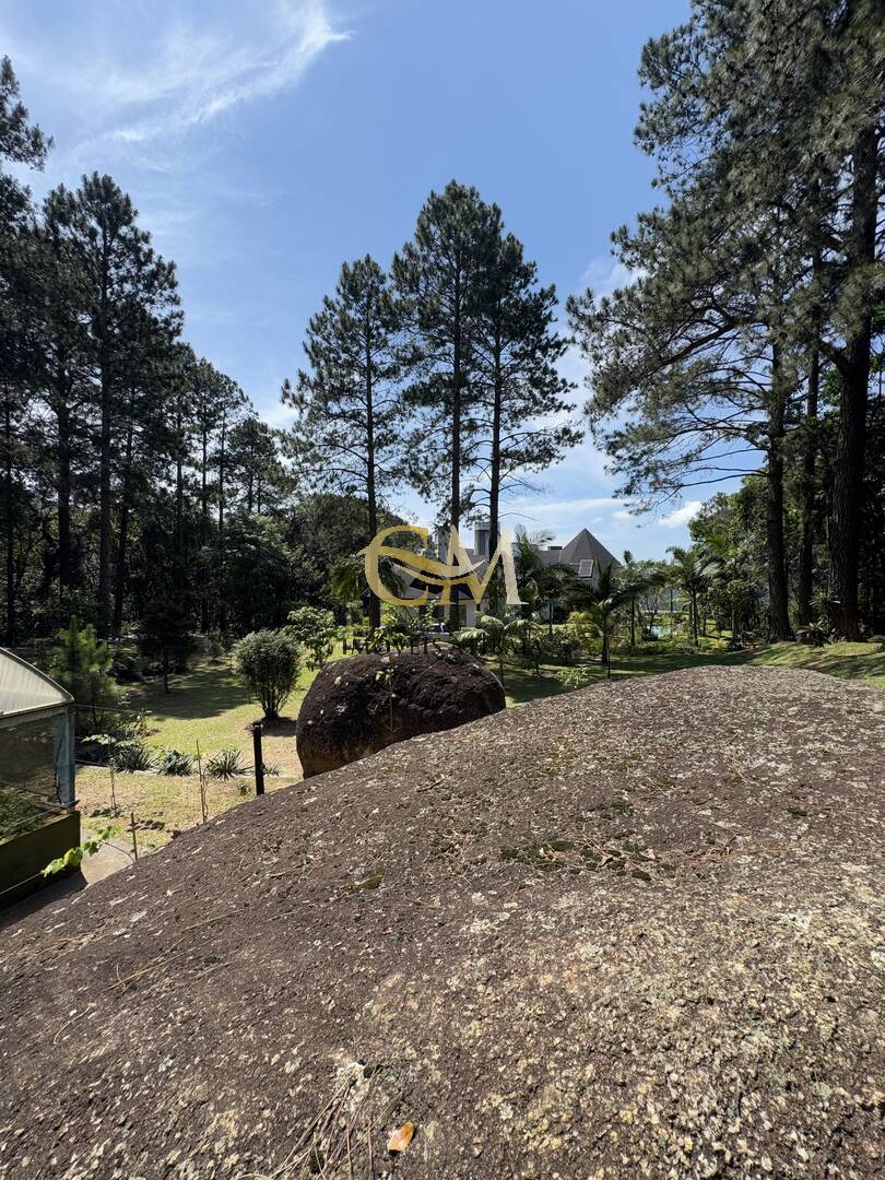 Fazenda à venda com 7 quartos, 1000m² - Foto 57