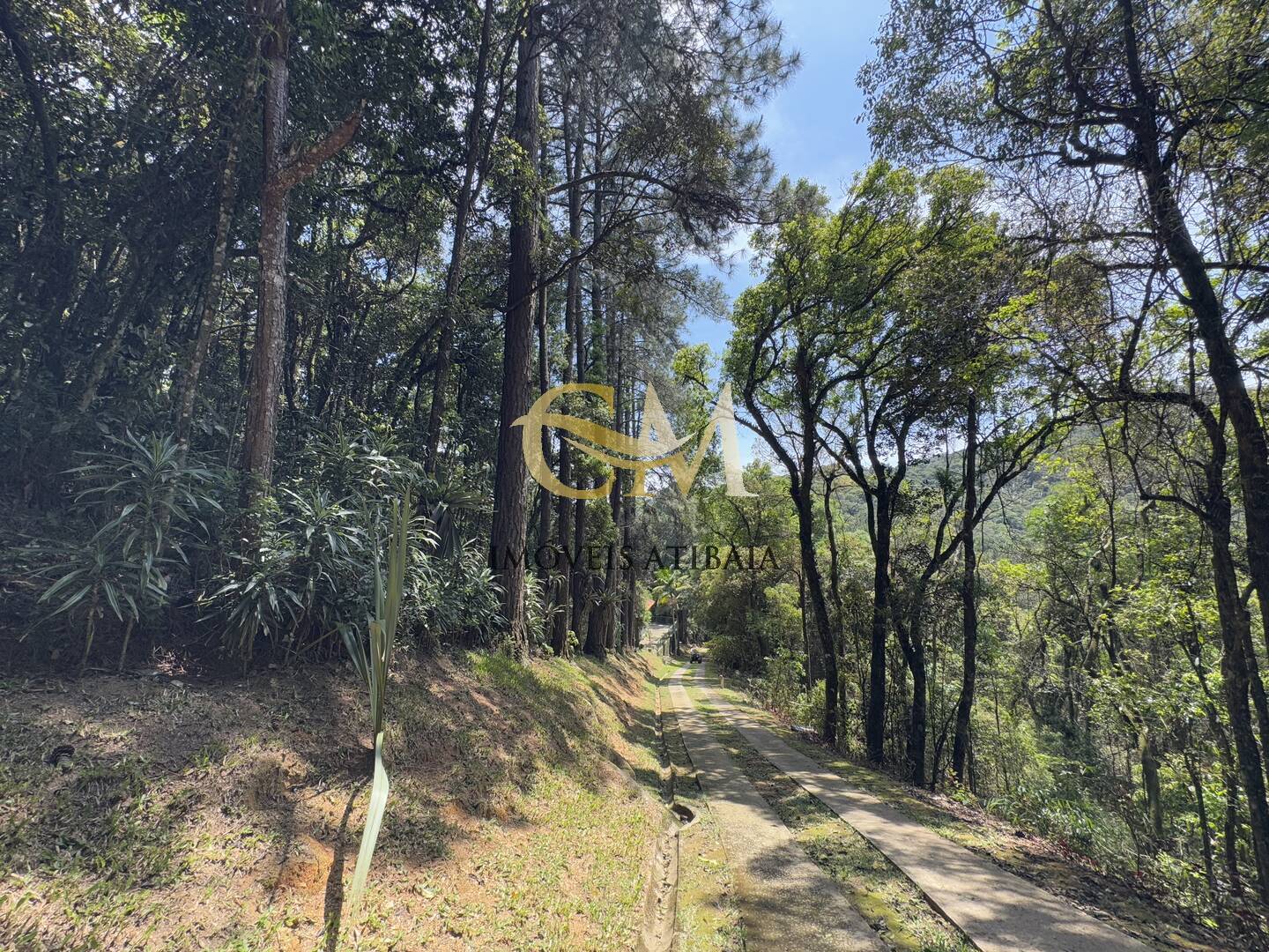 Fazenda à venda com 7 quartos, 1000m² - Foto 106