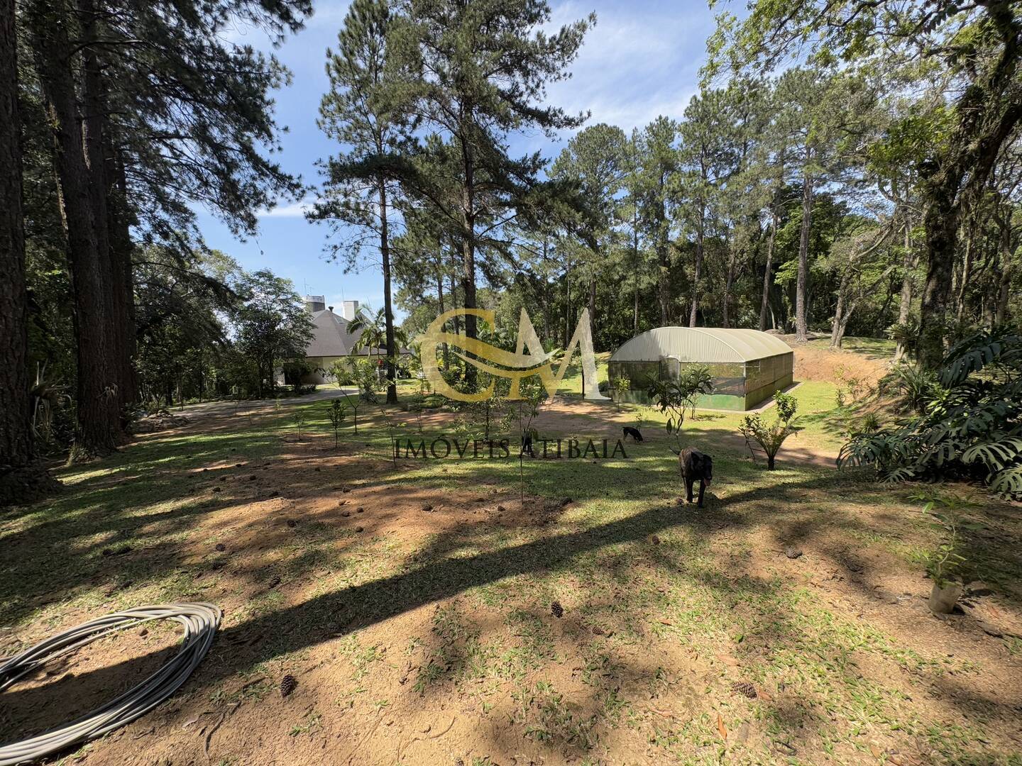 Fazenda à venda com 7 quartos, 1000m² - Foto 68