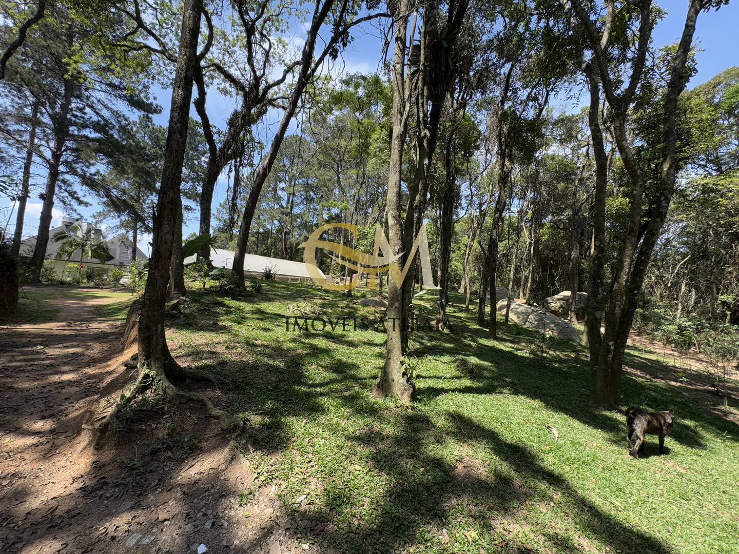 Fazenda à venda com 7 quartos, 1000m² - Foto 63