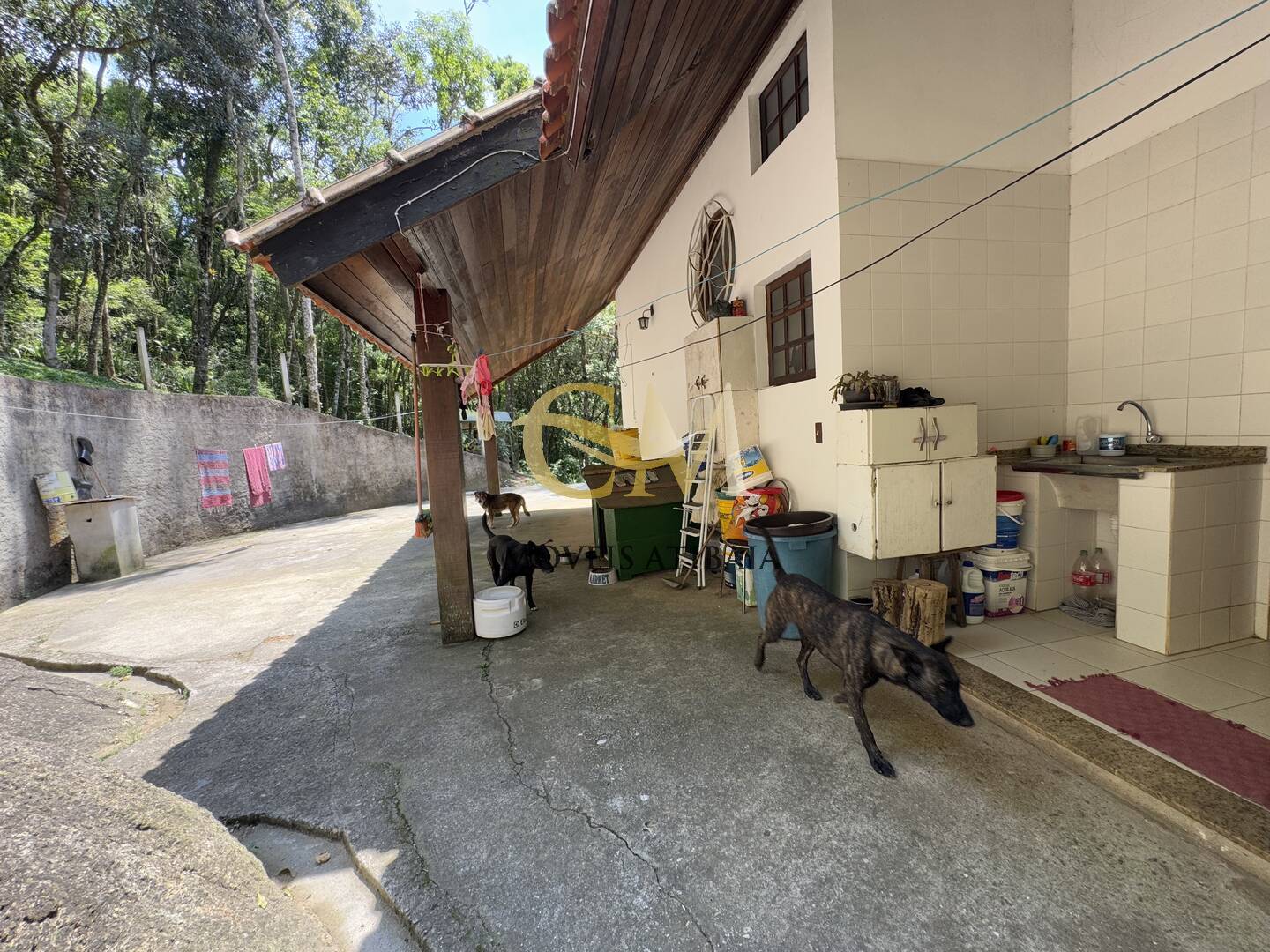 Fazenda à venda com 7 quartos, 1000m² - Foto 112