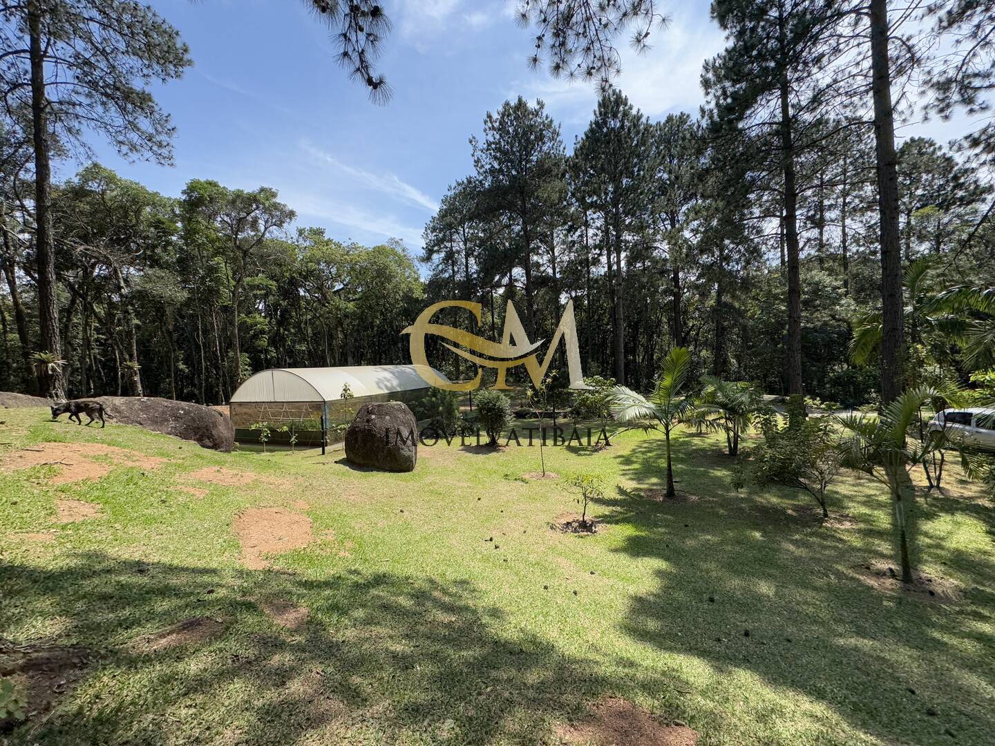 Fazenda à venda com 7 quartos, 1000m² - Foto 78