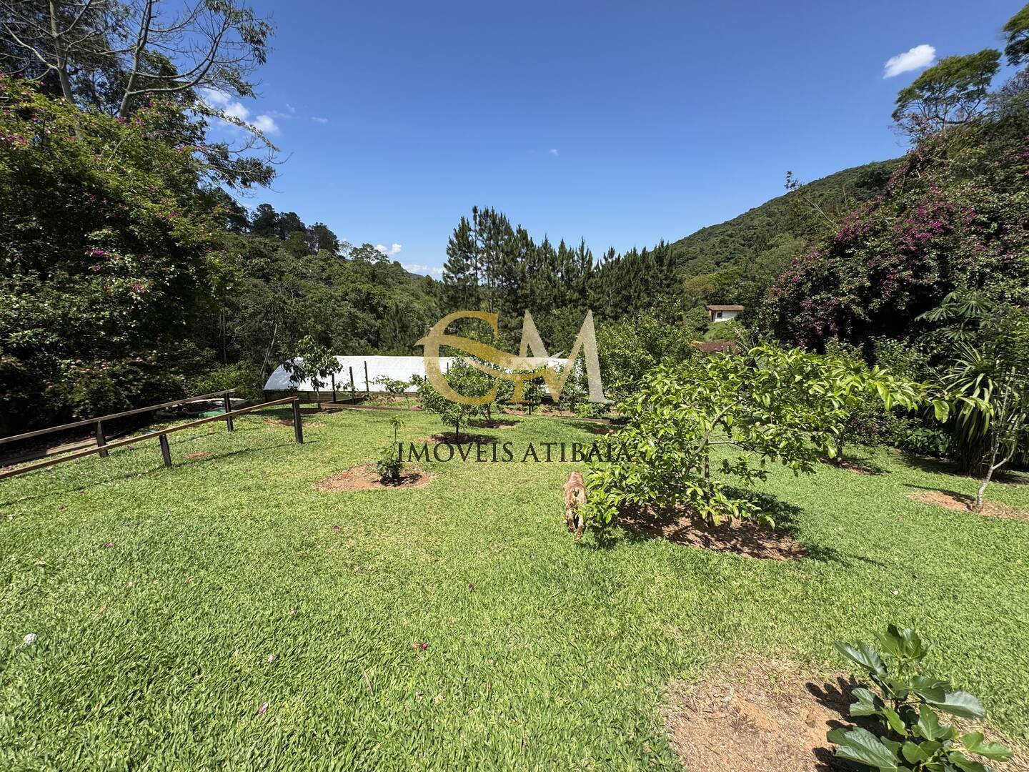 Fazenda à venda com 9 quartos, 1000m² - Foto 85