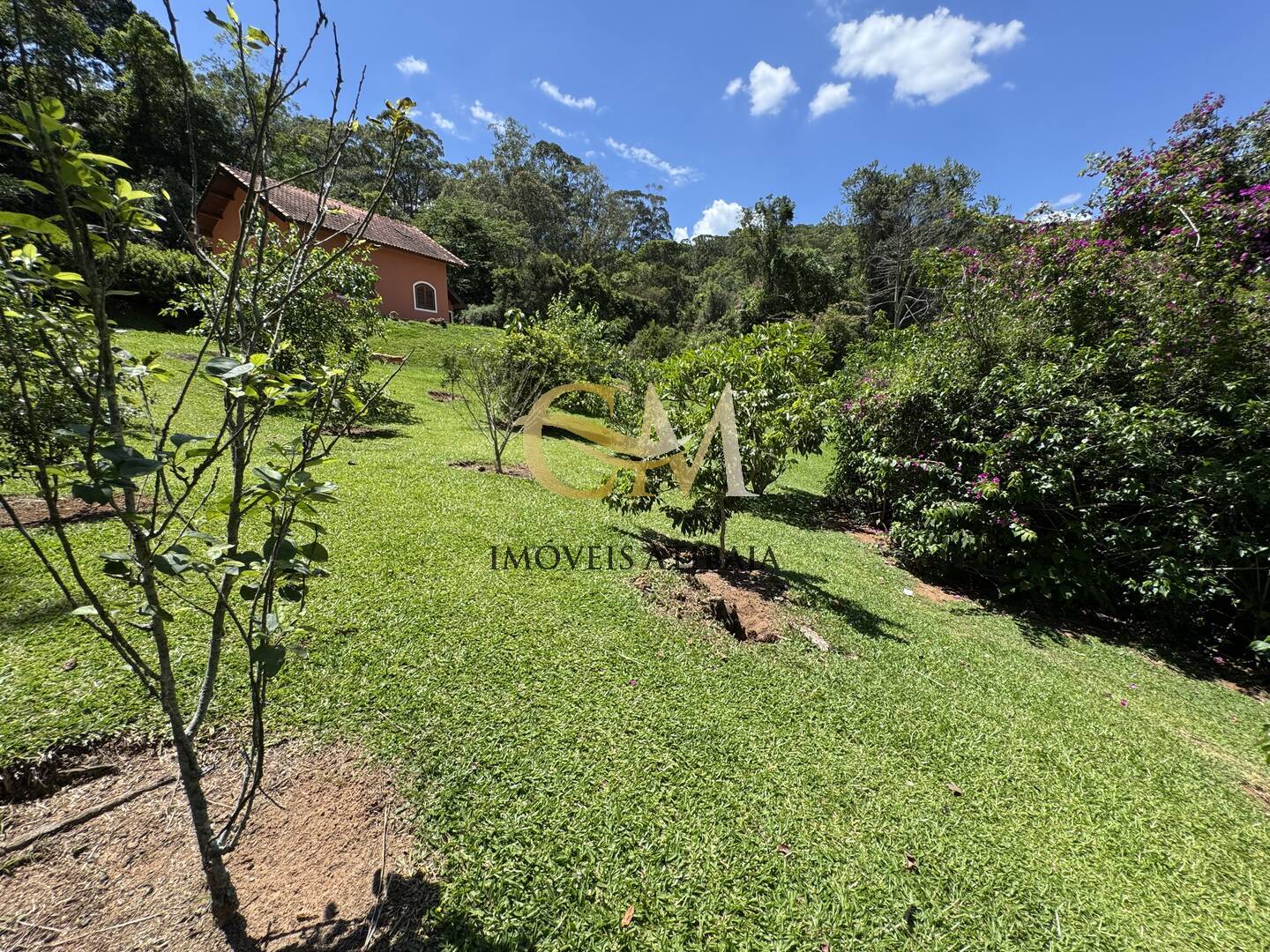 Fazenda à venda com 9 quartos, 1000m² - Foto 90