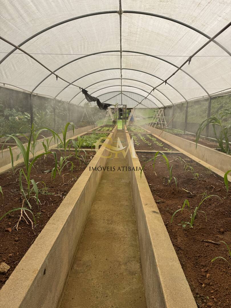 Fazenda à venda com 9 quartos, 1000m² - Foto 98