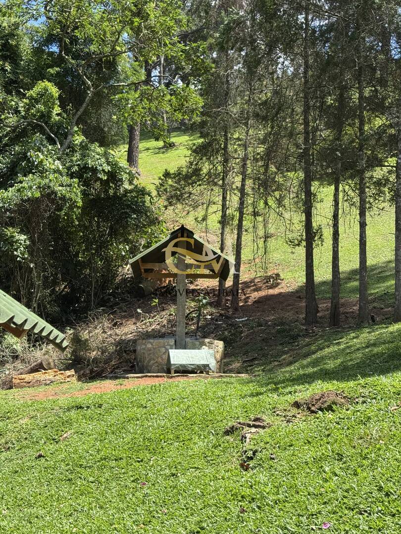 Fazenda à venda com 9 quartos, 1000m² - Foto 101