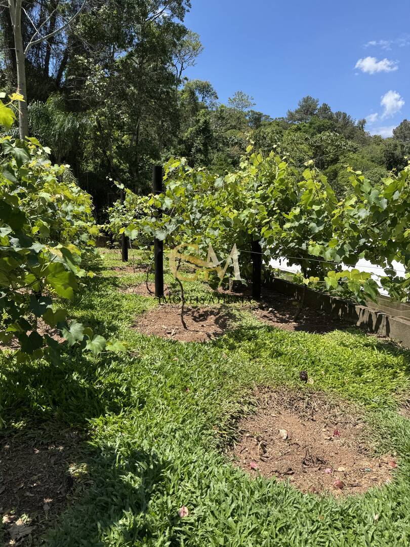 Fazenda à venda com 9 quartos, 1000m² - Foto 93