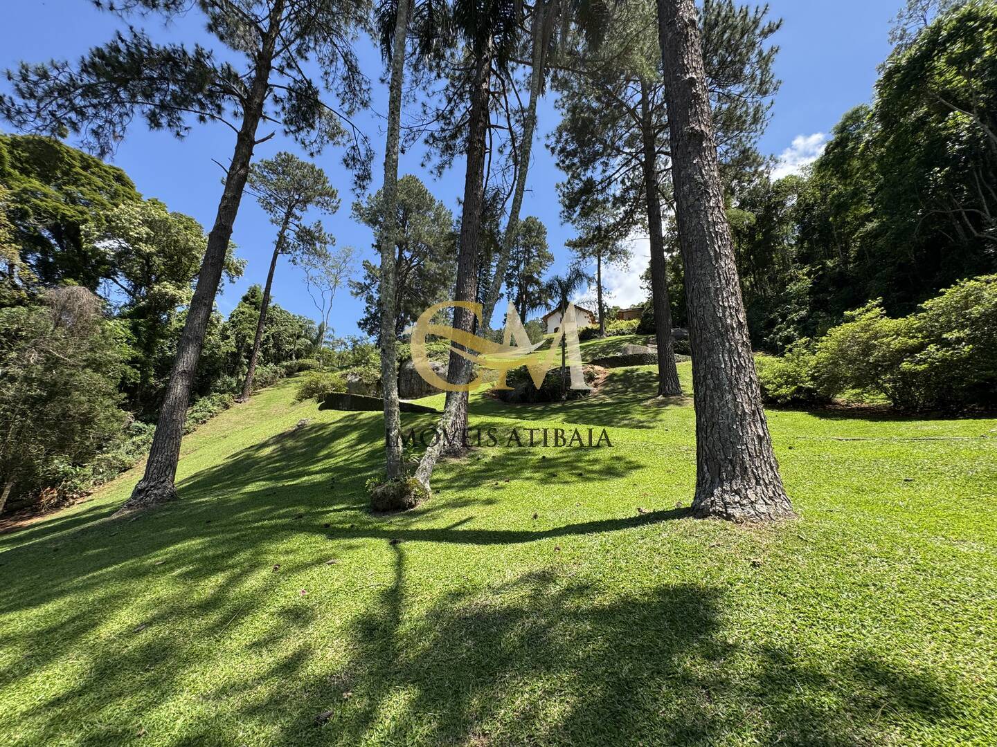 Fazenda à venda com 9 quartos, 1000m² - Foto 122