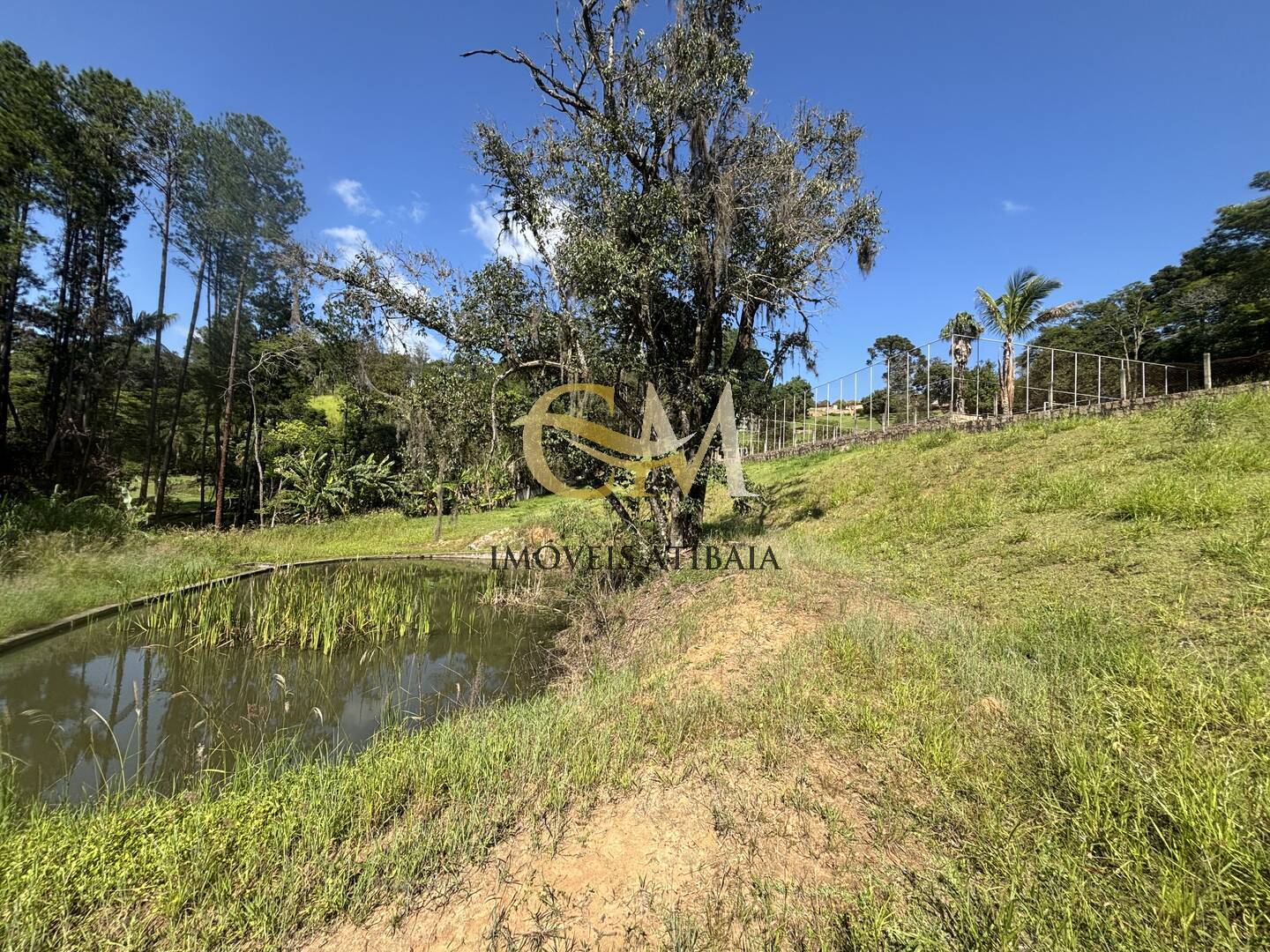 Fazenda à venda com 7 quartos, 700m² - Foto 78