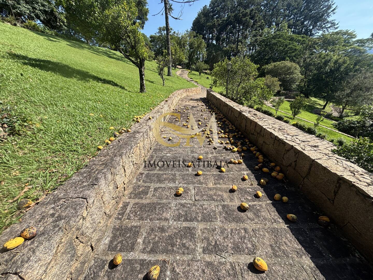 Fazenda à venda com 7 quartos, 700m² - Foto 65