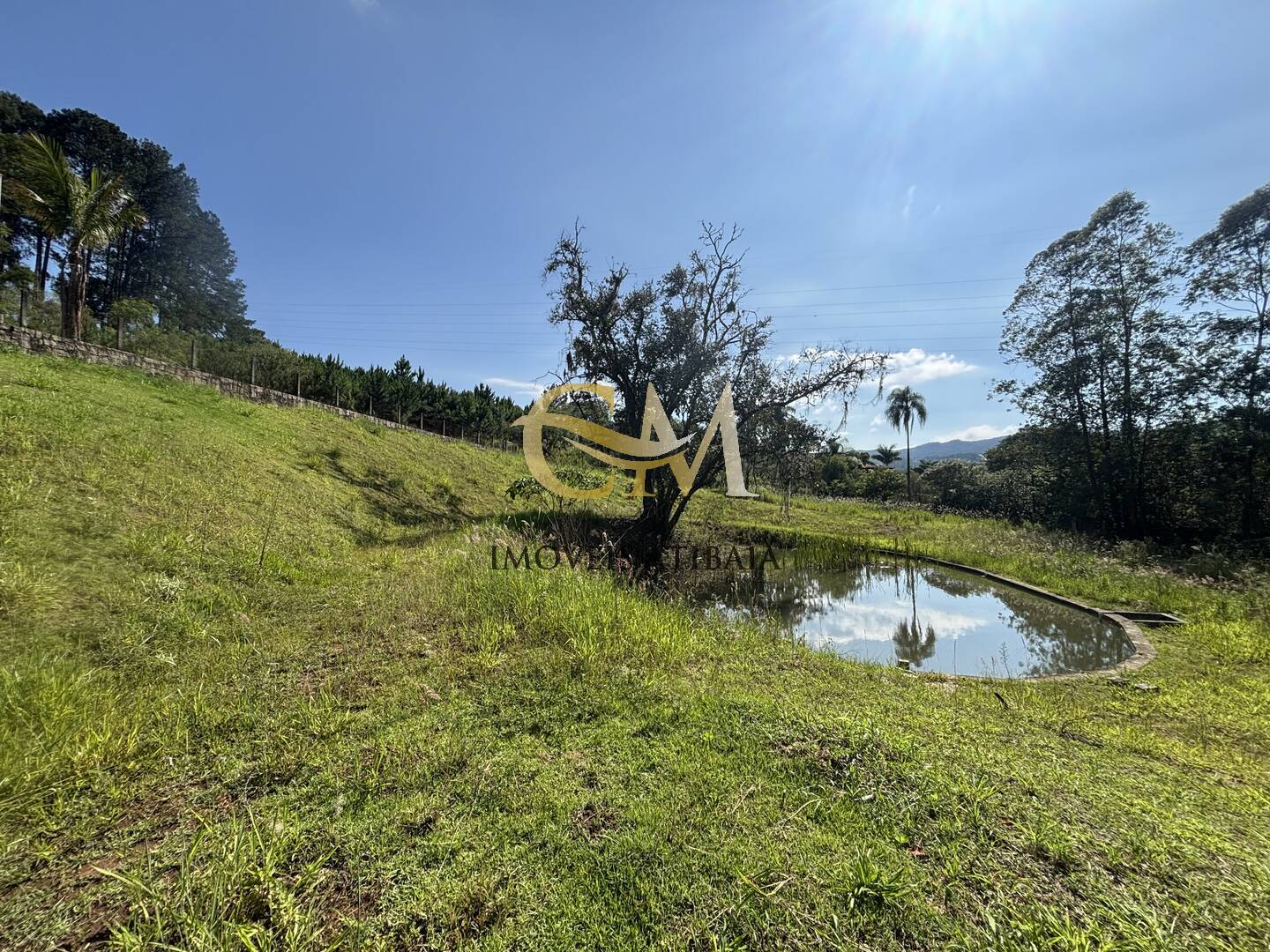 Fazenda à venda com 7 quartos, 700m² - Foto 77