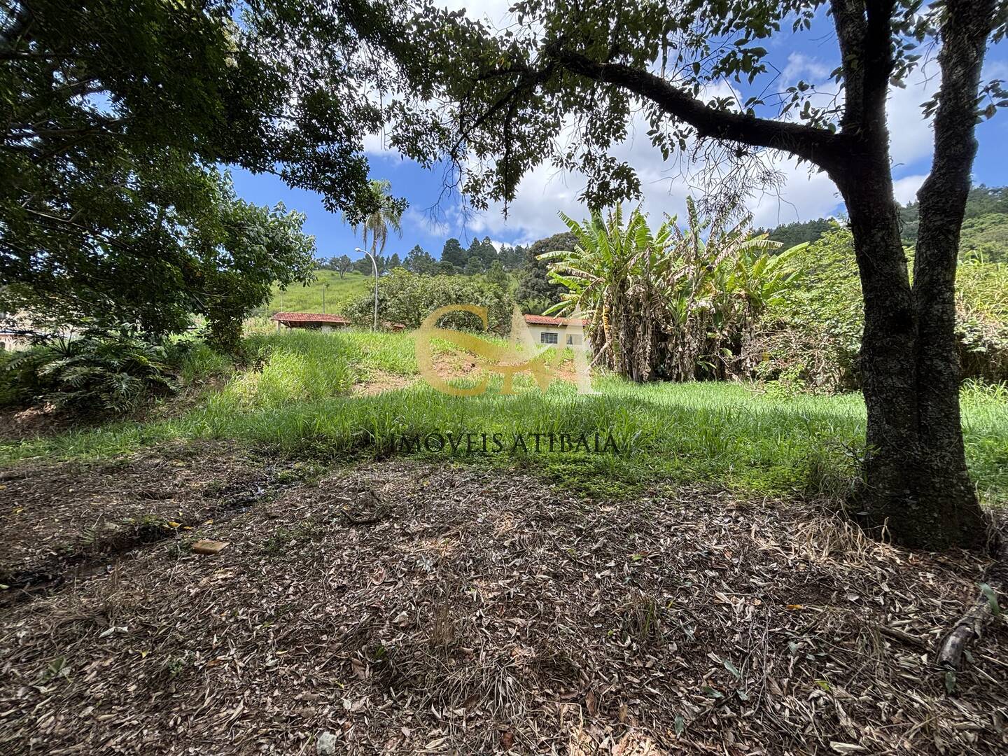 Fazenda à venda com 8 quartos, 2000m² - Foto 22