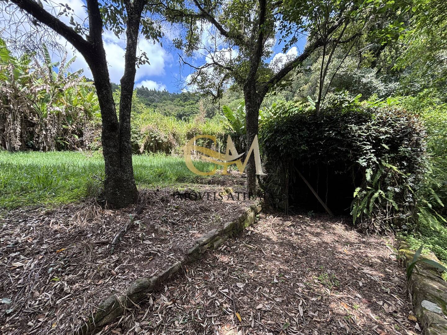 Fazenda à venda com 8 quartos, 2000m² - Foto 54