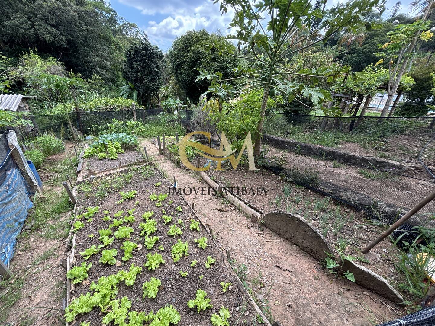 Fazenda à venda com 8 quartos, 2000m² - Foto 40