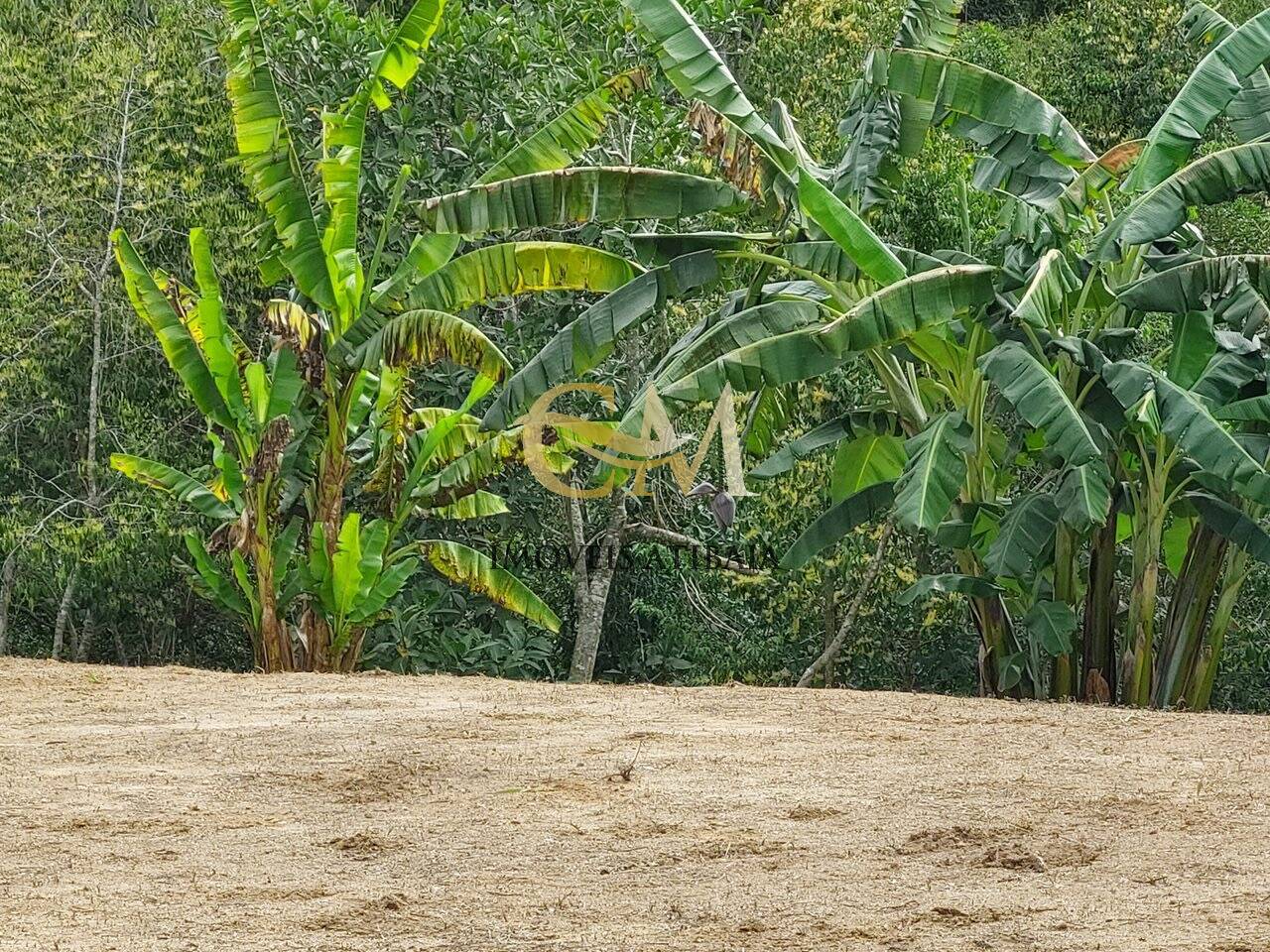 Terreno à venda, 5000m² - Foto 5