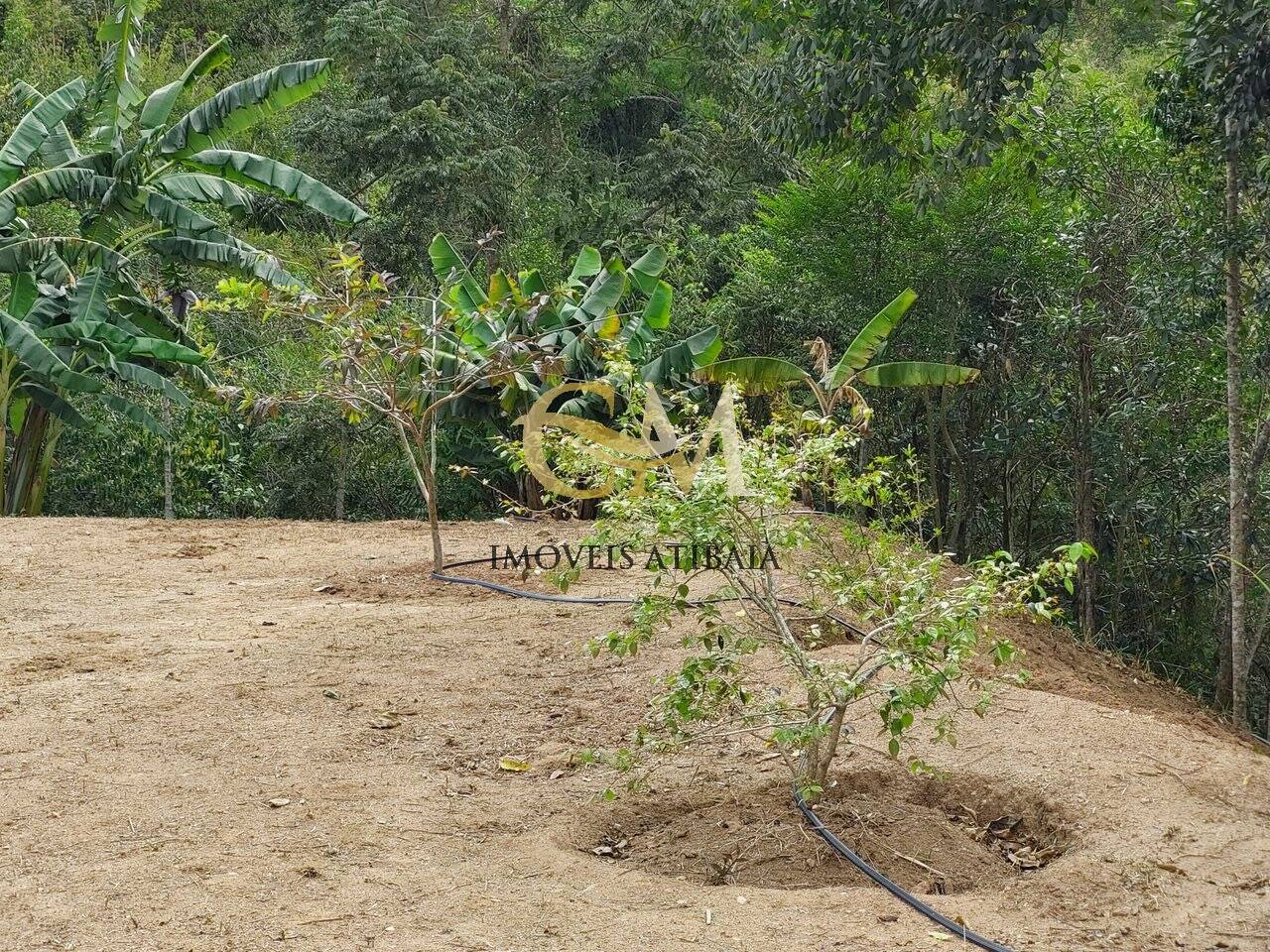 Terreno à venda, 5000m² - Foto 4