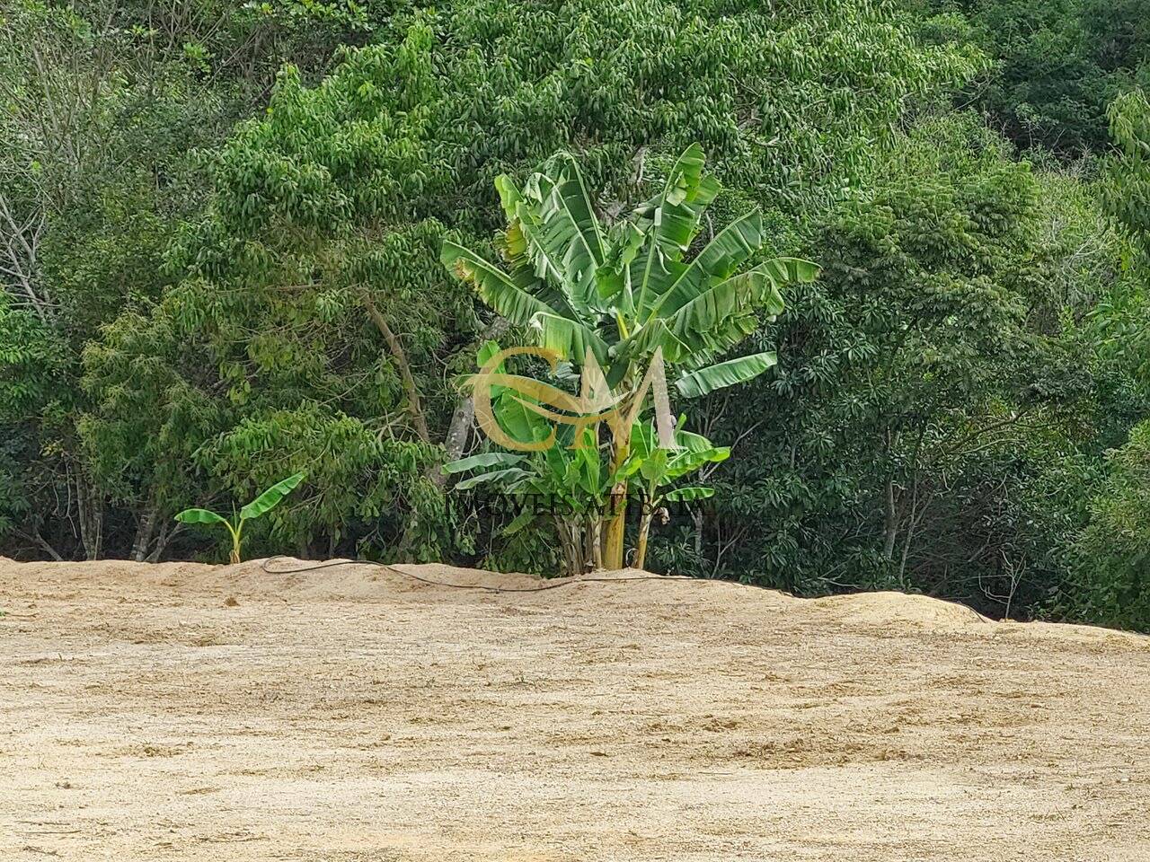 Terreno à venda, 5000m² - Foto 11